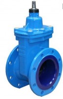 Gate Valves